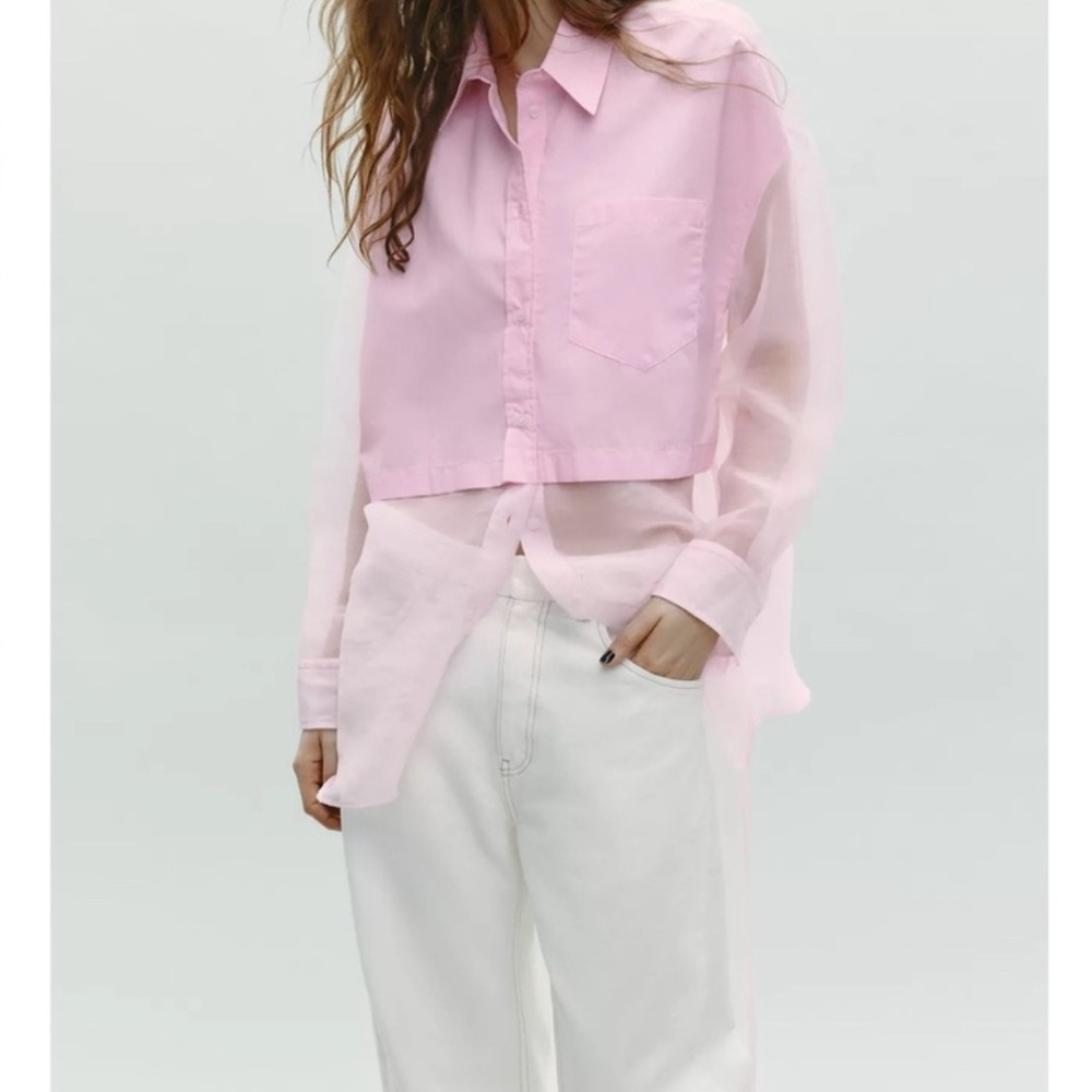 Zara Pink Sheer Button Down womens Shirt